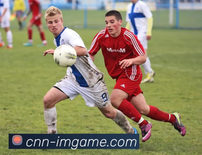 IM体育官网APP 封面图